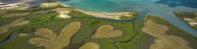 Fly over the heart of Voh and the mangrove swamps, overlooking the New Caledonian lagoon.